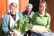 frischer Spargel vom Spargelhof Endres in Aresing (Foto: MartiN Schmitz)